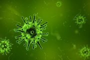 Do air purifiers work for viruses?