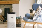 Levoit LV-H133 Air Purifier: Trusted Review & Specs