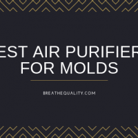Top 10 Best Air Purifiers for Mold, Mildew and Virus in 2023