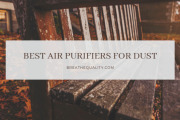 Top 10 Best Air Purifiers for Dust Removal and Dust Mites in 2022