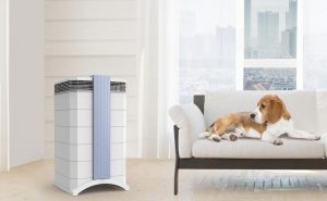 IQAir GC MultiGas Air Purifier: Trusted Review & Specs