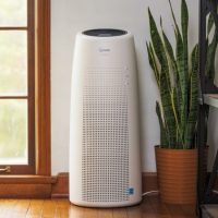 Winix NK100 Air Purifier: Trusted Review & Specs
