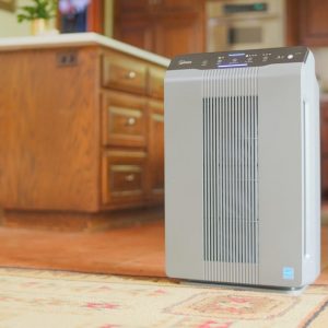 Winix 5300-2 Air Purifier: Trusted Review & Specs