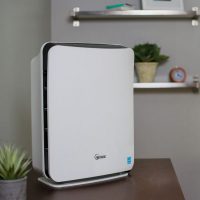 Winix P300 Air Purifier: Trusted Review & Specs