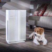 Biota Bot MM608I Air Purifier: Trusted Review & Specs