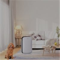 Inofia PM1619 Air Purifier: Trusted Review & Specs