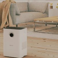 Boneco W200 Air Washer: Trusted Review & Specs