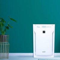 Sharp FP-A80UW Air Purifier: Trusted Review & Specs