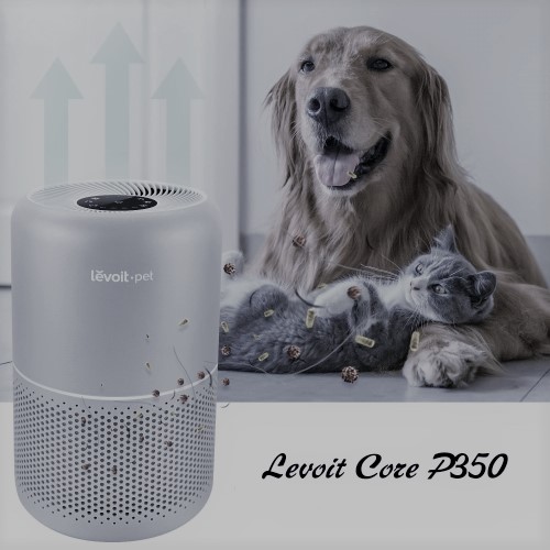 LEVOIT Air Purifiers for Home Large Room, Hepa and 3 Stage Filter Captures  Pet Allergies, Smoke, Dust, Odor, Mold and Pollen for Bedroom, Timer, Filter  Indicator, Smart Sensor, Energy Star, LV-PUR131