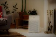 Winix AM90 Air Purifier: Trusted Review & Specs