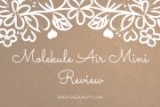 Molekule Air Mini Air Purifier: Trusted Review & Specs