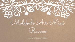 Molekule Air Mini Air Purifier: Trusted Review & Specs Molekule Air Mini Air Purifier: Trusted Review & Specs
