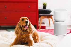 TCL Breeva A3 Smart Air Purifier: Trusted Review & Specs