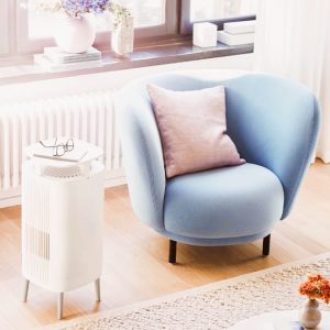 Blueair DustMagnet 5210i Air Purifier: Trusted Review & Specs