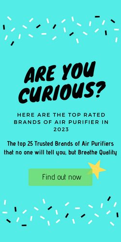 best air purifier brands