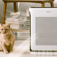 Levoit Vital 200S Air Purifier: Trusted Review & Specs