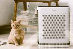 Levoit Vital 200S Air Purifier: Trusted Review & Specs